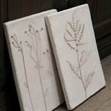 Botanical Prints (Set of Two)