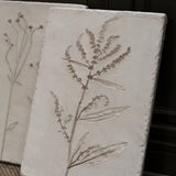 Botanical Prints (Set of Two)