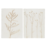 Botanical Prints (Set of Two)