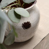 Perla White Pattern Jug