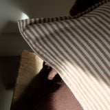 Brown Stripe Cushion