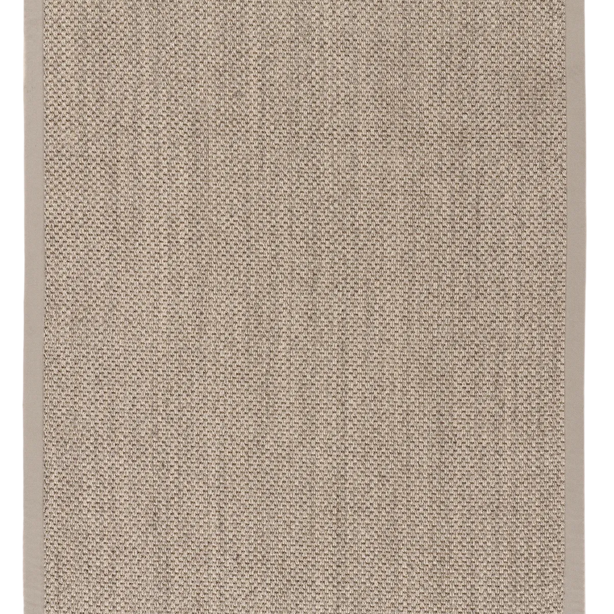 Alba Sisal Light Beige with Sand Border Rug