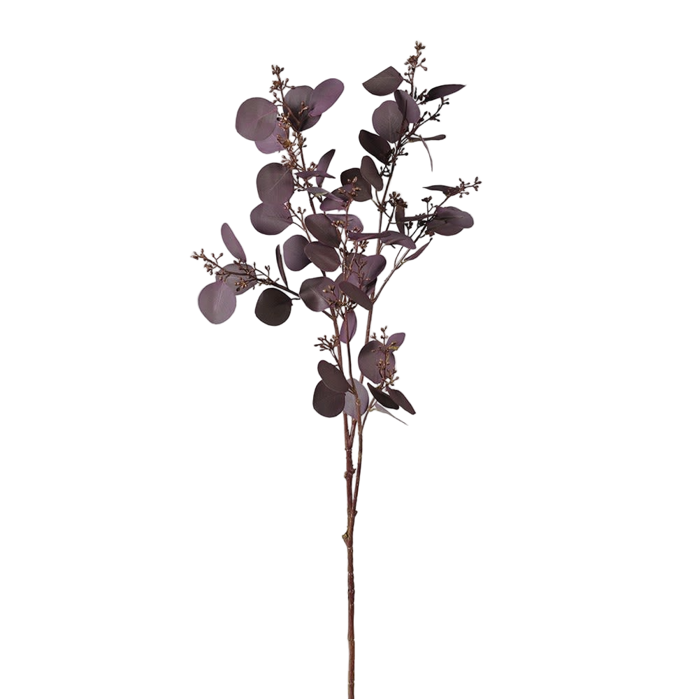 Burgundy Eucalyptus Seeded Spray