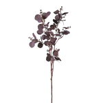 Burgundy Eucalyptus Seeded Spray