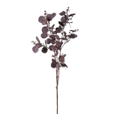 Burgundy Eucalyptus Seeded Spray