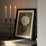 Isla Brass Candelabra