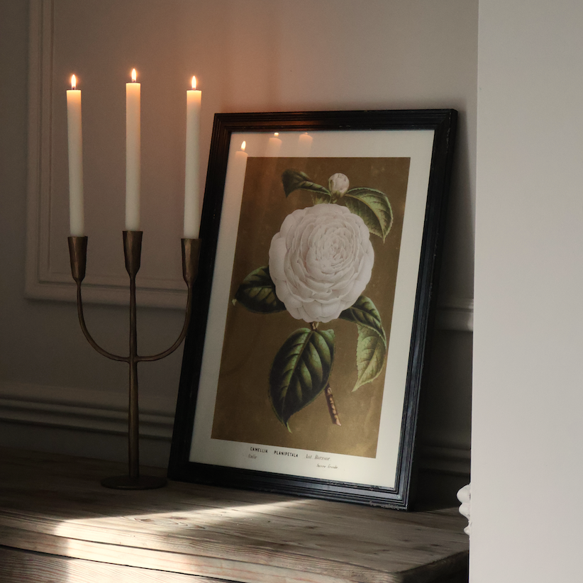 Isla Brass Candelabra