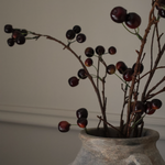 Cherry Spray Stems
