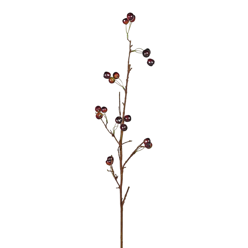 Cherry Spray Stems