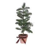 Christmas Pine Tree with Bow