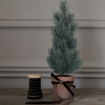 Christmas Tree and Ribbon 