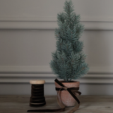 Christmas Tree and Ribbon 