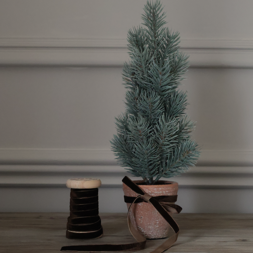 Christmas Tree and Ribbon 