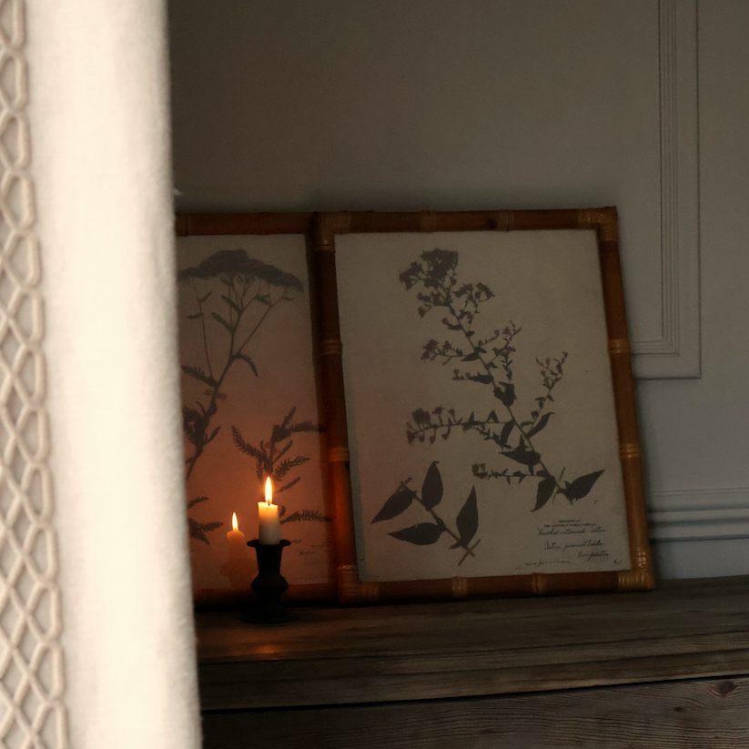 Eden Achillea & Aster Prints (Set of 2)