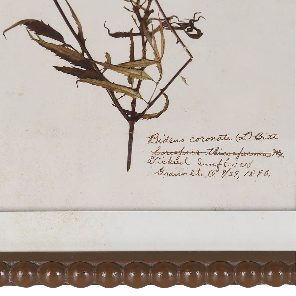 Floral Wall Art (Set of 4)