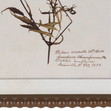 Floral Wall Art (Set of 4)