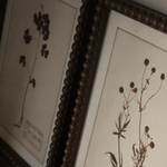 Floral Wall Art (Set of 4)