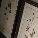 Floral Wall Art (Set of 4)