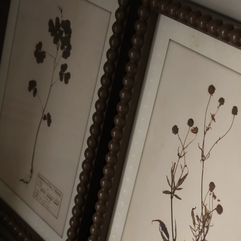 Floral Wall Art (Set of 4)