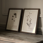 Floral Wall Art (Set of 4)