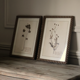 Floral Wall Art (Set of 4)