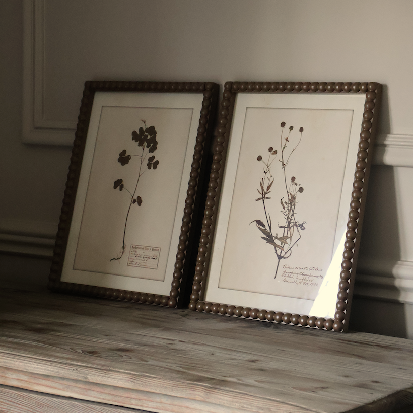 Floral Wall Art (Set of 4)