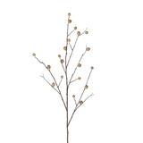Foraged Oak Apple Stem