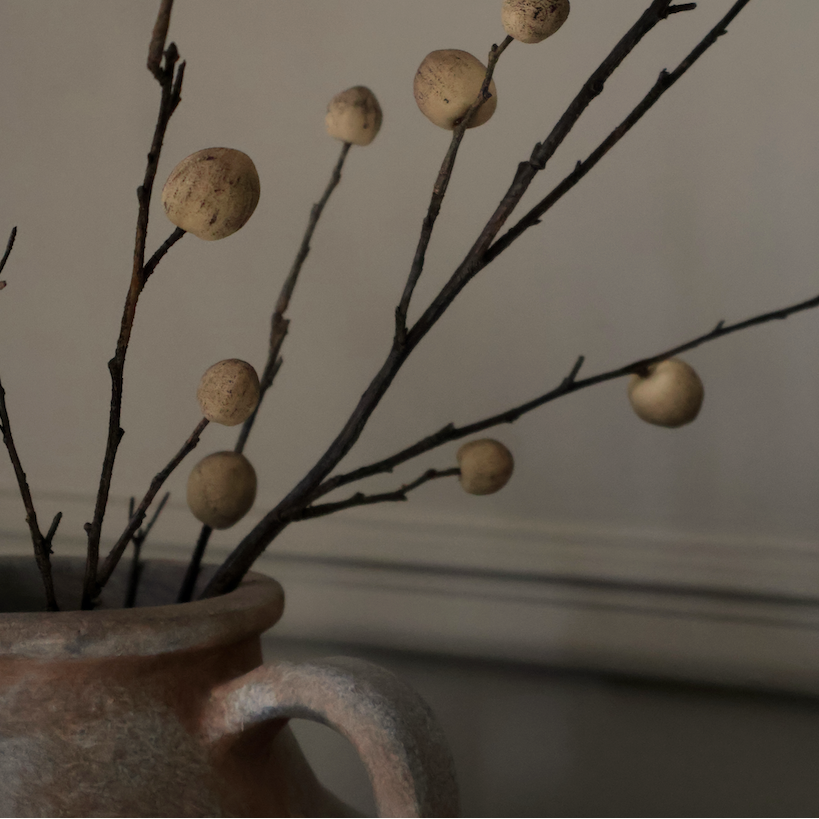Foraged Oak Apple Stem