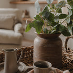 Silver Dollar Eucalyptus Spray