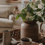 Silver Dollar Eucalyptus Spray