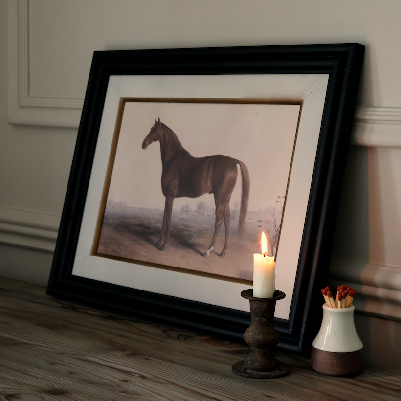 Horse in Gentle Light Framed Print