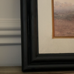 Horse in Gentle Light Framed Print