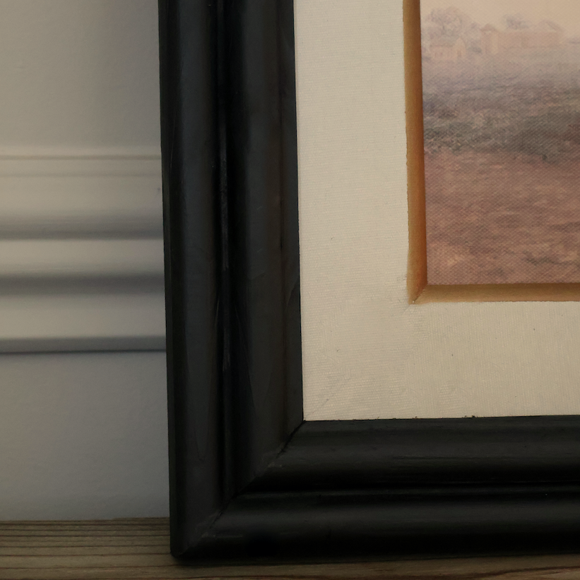 Horse in Gentle Light Framed Print