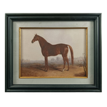 Horse in Gentle Light Framed Print