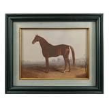 Horse in Gentle Light Framed Print