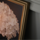 Hydrangea in Quiet Bloom Framed Print 