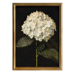 Hydrangea in Quiet Bloom Framed Picture