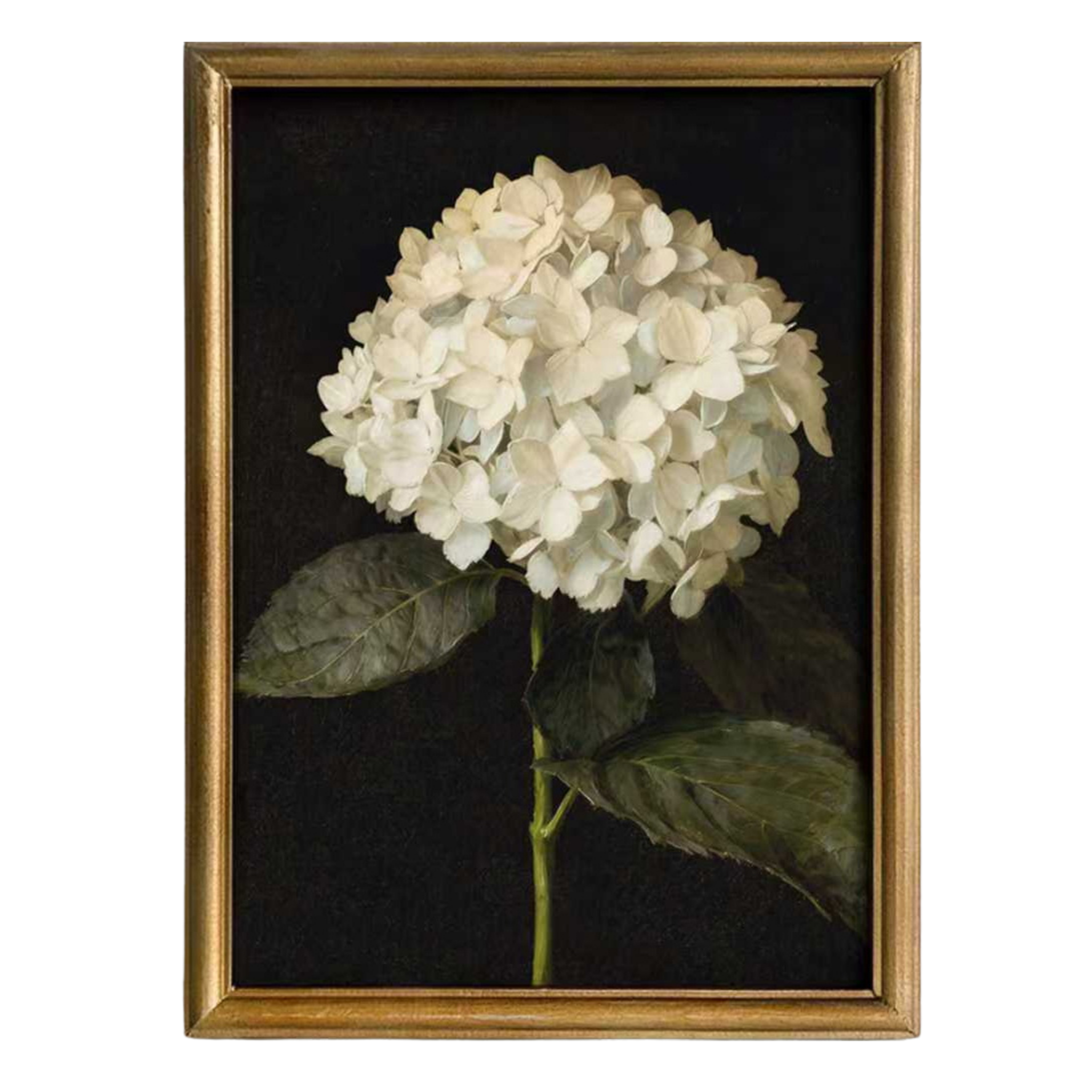 Hydrangea in Quiet Bloom Framed Picture