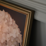 Hydrangea in Soft Blush Framed Print 