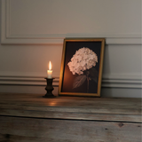 Hydrangea in Soft Blush Framed Print 