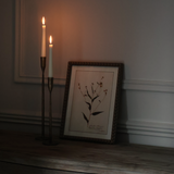 Isla Large Brass Taper Candleholder