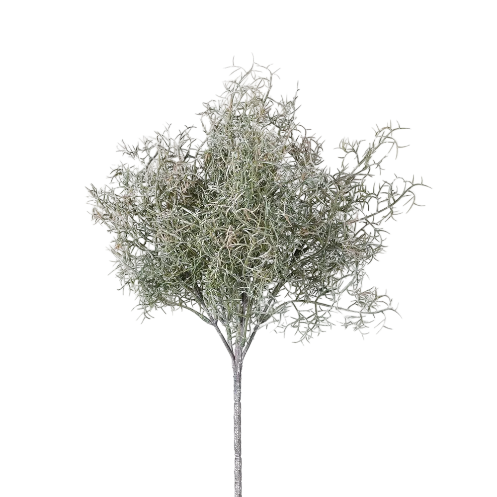 Meadow Moss Stem