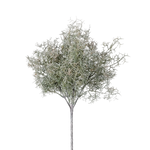 Meadow Moss Stem