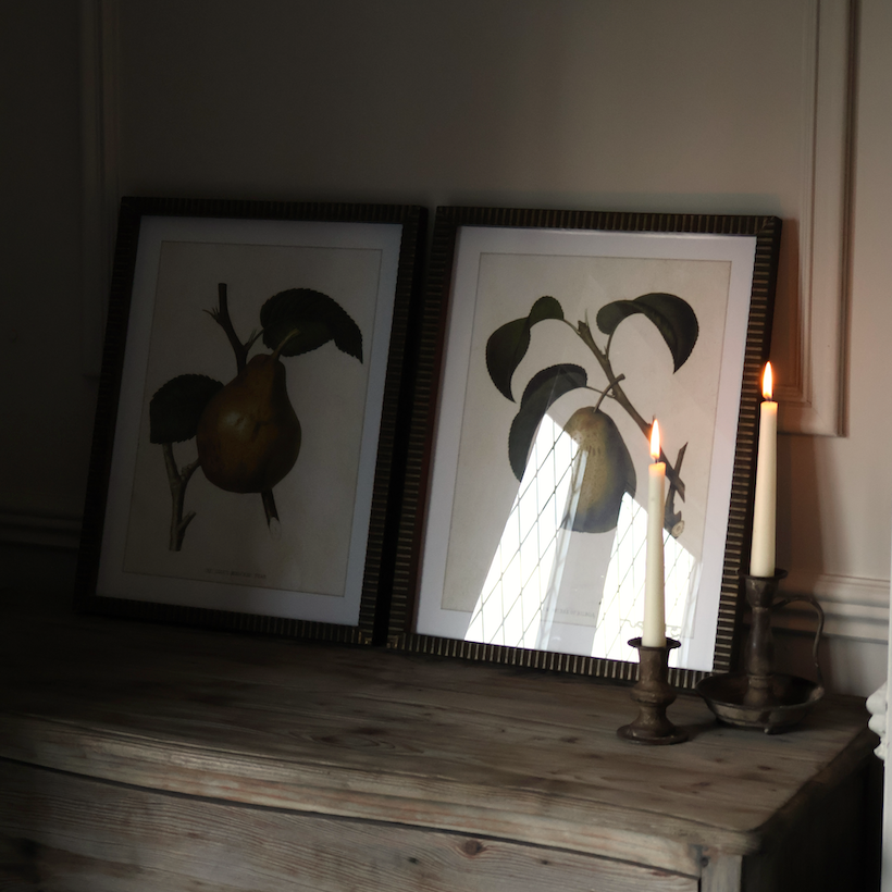 Pear Wall Art 