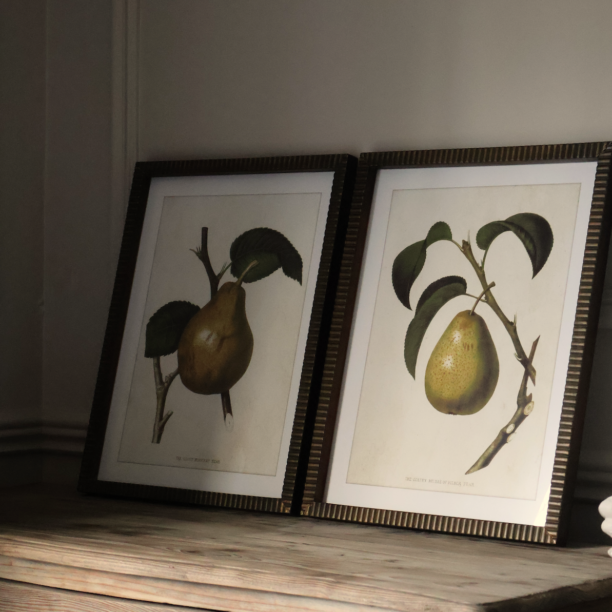 Pear Wall Art