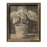 Potted Plant in Quiet Shadow Framed Picture