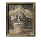 Potted Plant in Quiet Shadow Framed Picture