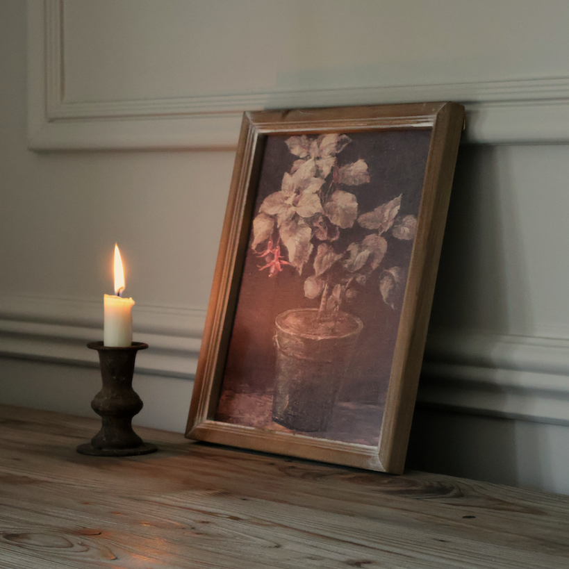Potted Plant with Soft Blush Bloom Framed Print