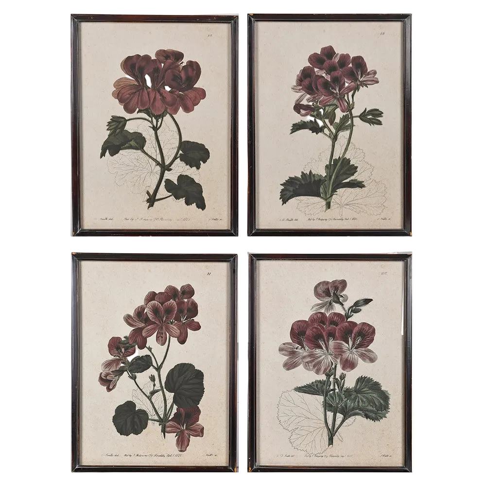 Set of 4 Heritage Geranium Botanical Prints