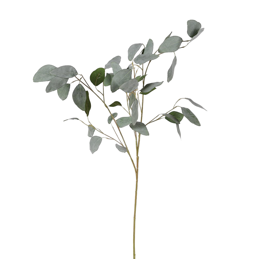 Silver Dollar Eucalyptus Spray